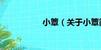 小簟(關于小簟簡介)