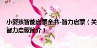 小嬰孩智能啟蒙全書-智力啟蒙(關于小嬰孩智能啟蒙全書-智力啟蒙簡介)
