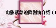 電影緊急迫降劇情介紹(電影緊急迫降)