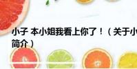 小子 本小姐我看上你了!(關于小子 本小姐我看上你了!簡介)