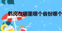 鶴崗在哪里哪個省份哪個市黑龍江地圖