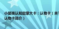 小嬰孩認知啟蒙大卡:認物卡(關于小嬰孩認知啟蒙大卡:認物卡簡介)