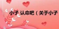 小子 認命吧(關于小子 認命吧簡介)