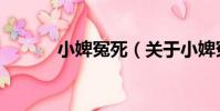小婢冤死(關于小婢冤死簡介)