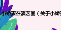 小嬌妻在演藝圈(關于小嬌妻在演藝圈簡介)