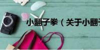 小翻子拳(關于小翻子拳簡介)