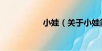 小娃(關于小娃簡介)