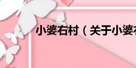 小婆右村(關于小婆右村簡介)