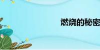 燃燒的秘密