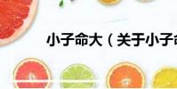 小子命大(關于小子命大簡介)