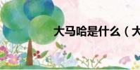 大馬哈是什么(大馬哈)
