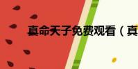 真命天子免費觀看(真命天子mv)