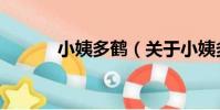 小姨多鶴(關于小姨多鶴簡介)