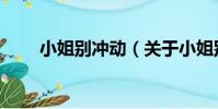小姐別沖動(關于小姐別沖動簡介)