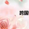 跨國銀行轉賬（跨國銀行）