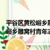 平谷區黃松峪鄉雕窩村青年志愿者服務隊（關于平谷區黃松峪鄉雕窩村青年志愿者服務隊介紹）