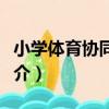 小學體育協同教學（關于小學體育協同教學簡介）