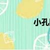 小孔隴（關于小孔隴簡介）