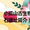 小孤山古生物化石遺址（關于小孤山古生物化石遺址簡介）