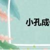 小孔成像（關于小孔成像簡介）