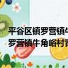 平谷區鎮羅營鎮牛角峪村青年志愿者服務隊（關于平谷區鎮羅營鎮牛角峪村青年志愿者服務隊介紹）