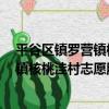 平谷區鎮羅營鎮核桃洼村志愿服務隊1（關于平谷區鎮羅營鎮核桃洼村志愿服務隊1介紹）