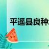 平遙縣良種場（關于平遙縣良種場介紹）