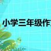 小學三年級作文（關于小學三年級作文簡介）