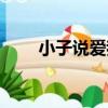 小子說愛我（關于小子說愛我簡介）