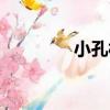 小孔村（關于小孔村簡介）