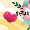 小孤山組（關于小孤山組簡介）