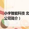 小字智能科技 北京有限公司（關于小字智能科技 北京有限公司簡介）