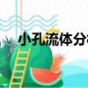 小孔流體分析（關于小孔流體分析簡介）