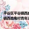 平谷區平谷鎮西鹿角村青年志愿者服務隊（關于平谷區平谷鎮西鹿角村青年志愿者服務隊介紹）