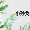小孫戈莊（關于小孫戈莊簡介）