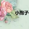 小孢子體（關于小孢子體簡介）