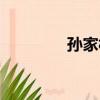 孫家村（關于孫家村介紹）
