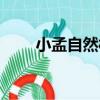 小孟自然村（關于小孟自然村簡介）