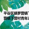 平谷區鎮羅營鎮下營村青年志愿者服務隊（關于平谷區鎮羅營鎮下營村青年志愿者服務隊介紹）