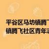 平谷區馬坊鎮騰飛社區青年志愿者服務隊（關于平谷區馬坊鎮騰飛社區青年志愿者服務隊介紹）