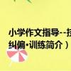 小學作文指導--技巧·糾偏·訓練（關于小學作文指導--技巧·糾偏·訓練簡介）