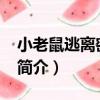 小老鼠逃離密室76（關于小老鼠逃離密室76簡介）