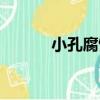 小孔腐蝕（關于小孔腐蝕簡介）
