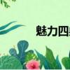 魅力四射的近義詞（魅力四射）
