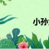 小孫女（關于小孫女簡介）