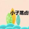 小子蒚卣銘（關于小子蒚卣銘簡介）