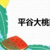 平谷大桃網（關于平谷大桃網介紹）