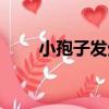 小孢子發生（關于小孢子發生簡介）