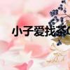 小子愛找茶03（關于小子愛找茶03簡介）