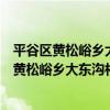 平谷區黃松峪鄉大東溝村管城理市志愿服務隊（關于平谷區黃松峪鄉大東溝村管城理市志愿服務隊介紹）
